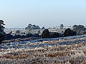 Foto SP_2020_01107: Winterwanderung / Oberhaverbeck / 02.01.2020