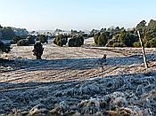 Foto SP_2020_01108: Winterwanderung / Oberhaverbeck / 02.01.2020