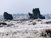 Foto SP_2020_01112: Winterwanderung / Oberhaverbeck / 02.01.2020