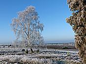 ID: 209: Winterwanderung / Oberhaverbeck / 02.01.2020