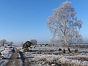 ID: 209: Winterwanderung / Oberhaverbeck / 02.01.2020