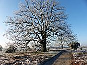 ID: 209: Winterwanderung / Oberhaverbeck / 02.01.2020