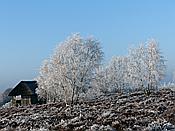 ID: 209: Winterwanderung / Oberhaverbeck / 02.01.2020