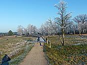 ID: 209: Winterwanderung / Oberhaverbeck / 02.01.2020