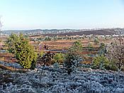 ID: 209: Winterwanderung / Oberhaverbeck / 02.01.2020