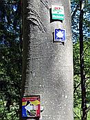 ID: 209: Altschlosspfad / Eppenbrunn / 18.05.2020