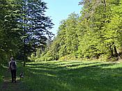 ID: 209: Altschlosspfad / Eppenbrunn / 18.05.2020