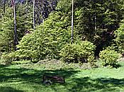 ID: 209: Altschlosspfad / Eppenbrunn / 18.05.2020