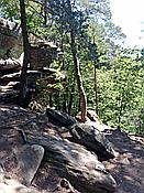 ID: 209: Altschlosspfad / Eppenbrunn / 18.05.2020