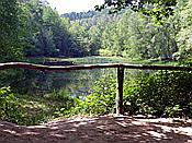 ID: 209: Ganerbenweg / Bad Duerkheim / 20.05.2020