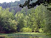 ID: 209: Ganerbenweg / Bad Duerkheim / 20.05.2020