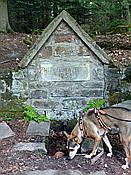 ID: 209: Ganerbenweg / Bad Duerkheim / 20.05.2020