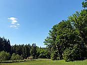 ID: 209: Spaziergang / Eppenbrunn / 21.05.2020