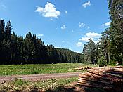 ID: 209: Spaziergang / Eppenbrunn / 21.05.2020