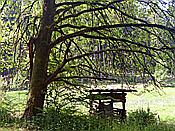 ID: 209: Spaziergang / Eppenbrunn / 21.05.2020