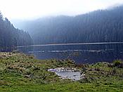 Foto SP_2020_09547: Kleiner Arbersee / Lohberg / 29.09.2020