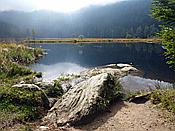 Foto SP_2020_09550: Kleiner Arbersee / Lohberg / 29.09.2020