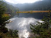Foto SP_2020_09551: Kleiner Arbersee / Lohberg / 29.09.2020