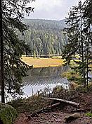 Foto SP_2020_09556: Kleiner Arbersee / Lohberg / 29.09.2020