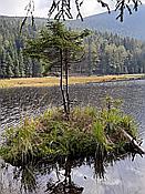 Foto SP_2020_09557: Kleiner Arbersee / Lohberg / 29.09.2020