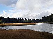 Foto SP_2020_09558: Kleiner Arbersee / Lohberg / 29.09.2020