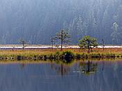 Foto SP_2020_09561: Kleiner Arbersee / Lohberg / 29.09.2020