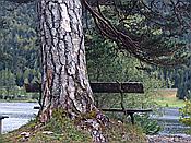 Foto SP_2020_10042: Spaziergang / Mittenwald / 02.10.2020