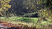 ID: 209: Wanderung Stille Winkel / Eppenbrunn / 14.11.2020