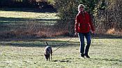 ID: 209: Wanderung Stille Winkel / Eppenbrunn / 14.11.2020