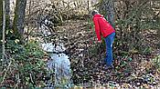 ID: 209: Wanderung Stille Winkel / Eppenbrunn / 14.11.2020