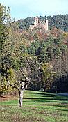 Foto SP_2020_11533: Burg Berwartstein / Erlenbach / 14.11.2020