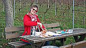 Foto SP_2020_11557: Weinberge / Heuchelheim / 14.11.2020