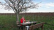 Foto SP_2020_11559: Weinberge / Heuchelheim / 14.11.2020