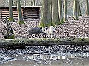 Foto SP_2021_02212: Wanderung / Krefeld / 22.02.2021