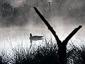 Foto SP_2021_04707: Roellingwiese / Westhofen / 23.04.2021
