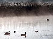 Foto SP_2021_04709: Roellingwiese / Westhofen / 23.04.2021