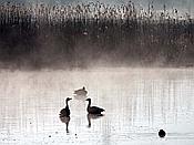 Foto SP_2021_04723: Roellingwiese / Westhofen / 23.04.2021