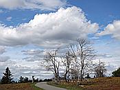 Foto SP_2021_05307: Kahler Asten / Winterberg / 10.05.2021