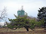 Foto SP_2021_05314: Kahler Asten / Winterberg / 10.05.2021