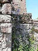 ID: 209: Altdahner Burgengruppe / Dahn / 21.07.2021