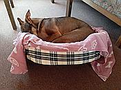 ID: 209: Gute Nacht / Heuchelheim / 22.07.2021