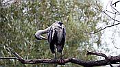 ID: 209: Park Sanssouci / Potsdam / 19.08.2021