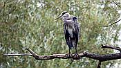 ID: 209: Park Sanssouci / Potsdam / 19.08.2021