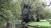 ID: 209: Park Sanssouci / Potsdam / 19.08.2021