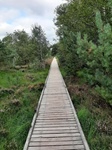 Foto SP_2022_08918: August 2022: Ausflug in die Lueneburger Heide / Trip to Lueneburg Heath
