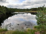 ID: 209: August 2022: Ausflug in die Lueneburger Heide / Trip to Lueneburg Heath