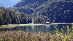 ID: 209: Herbsturlaub in Kruen 2022 / Autumn vacation in Kruen, Bavaria 2022