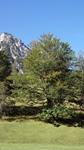 Foto SP_2022_09346: Herbsturlaub in Kruen 2022 / Autumn vacation in Kruen, Bavaria 2022