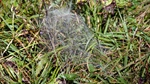 ID: 209: Herbsturlaub in Kruen 2022 / Autumn vacation in Kruen, Bavaria 2022