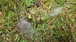 ID: 209: Herbsturlaub in Kruen 2022 / Autumn vacation in Kruen, Bavaria 2022